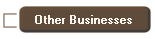    Other Businesses